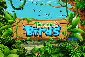 Tropical Birds