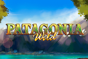 Patagonia Wilds